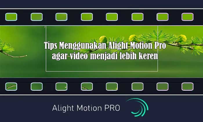 Tips Menggunakan Alight Motion Pro Prima Agar Video Menjadi Lebih Keren Lentera Sehat 7769